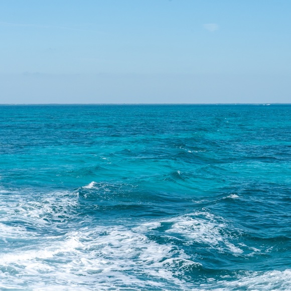 Meet your Posher, Jessie - Picture 2 of 3